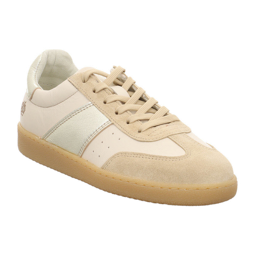 ASTER CHAMPAGNE