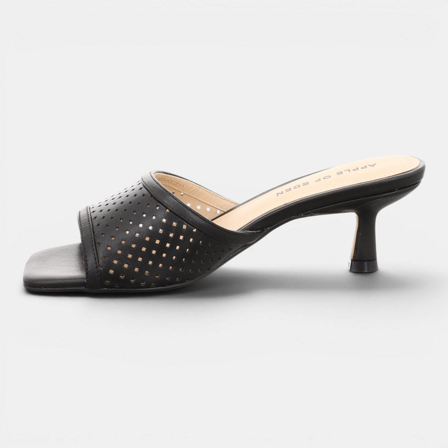 HOLLEY BLACK