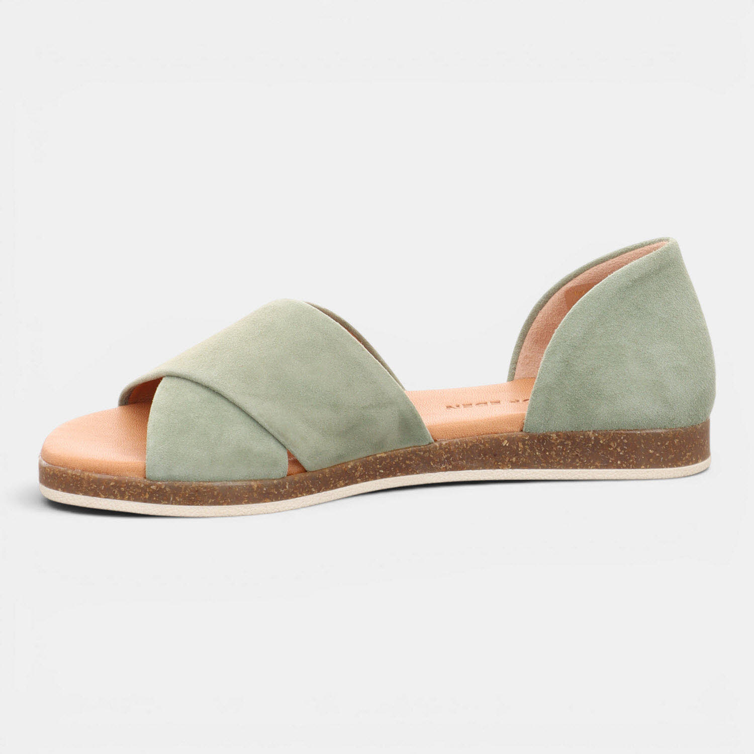 CELINE SALVIA