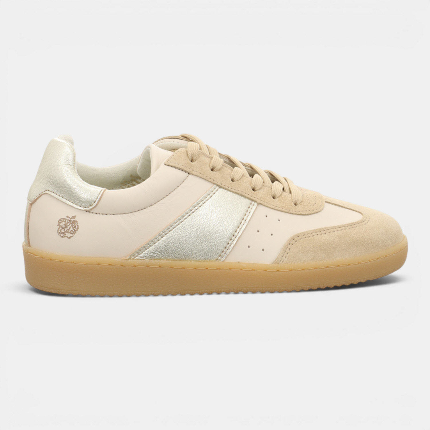 ASTER CHAMPAGNE