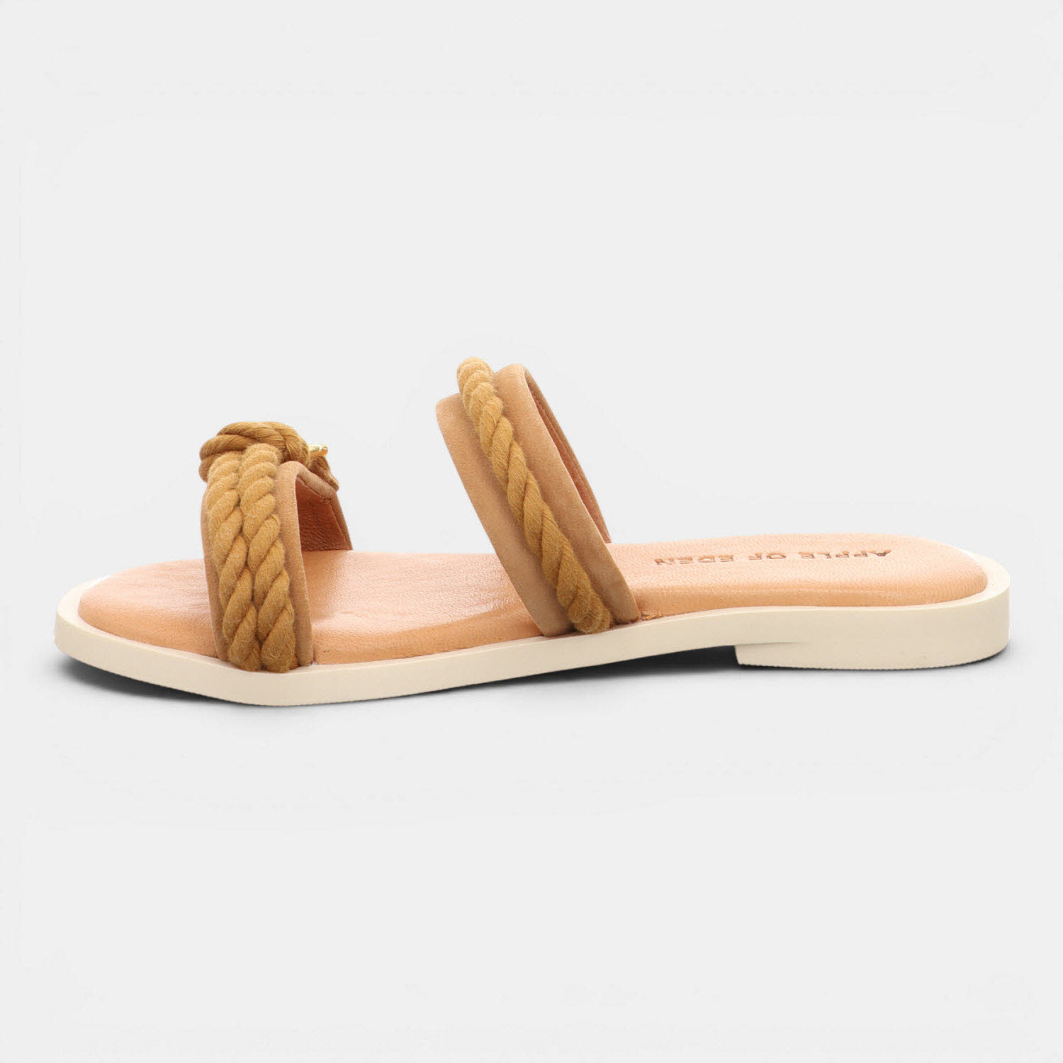 ADA CAMEL