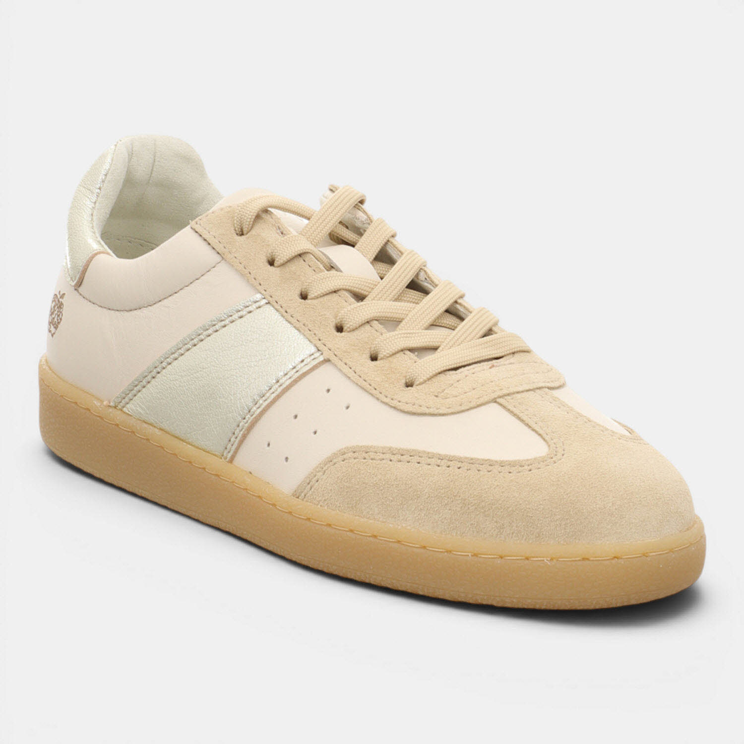 ASTER CHAMPAGNE