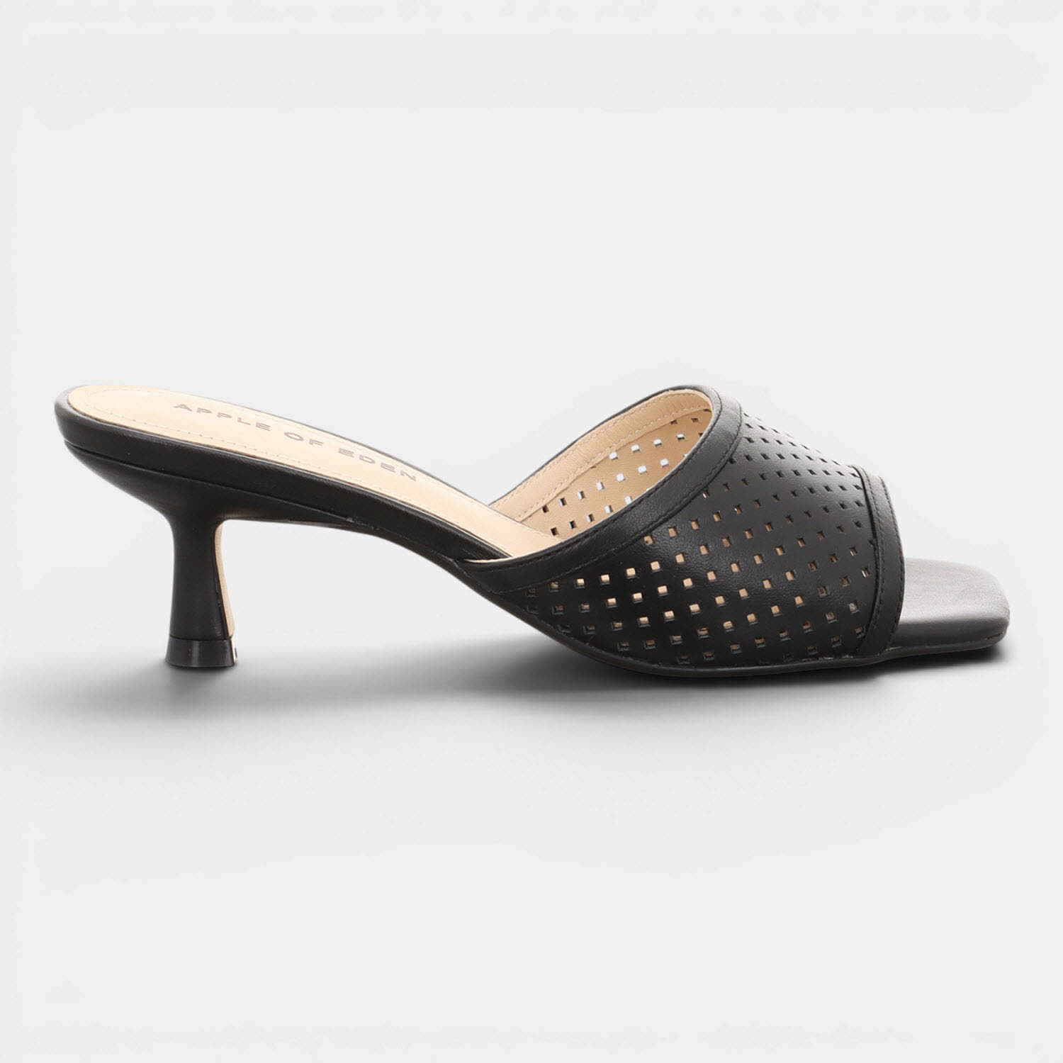 HOLLEY BLACK