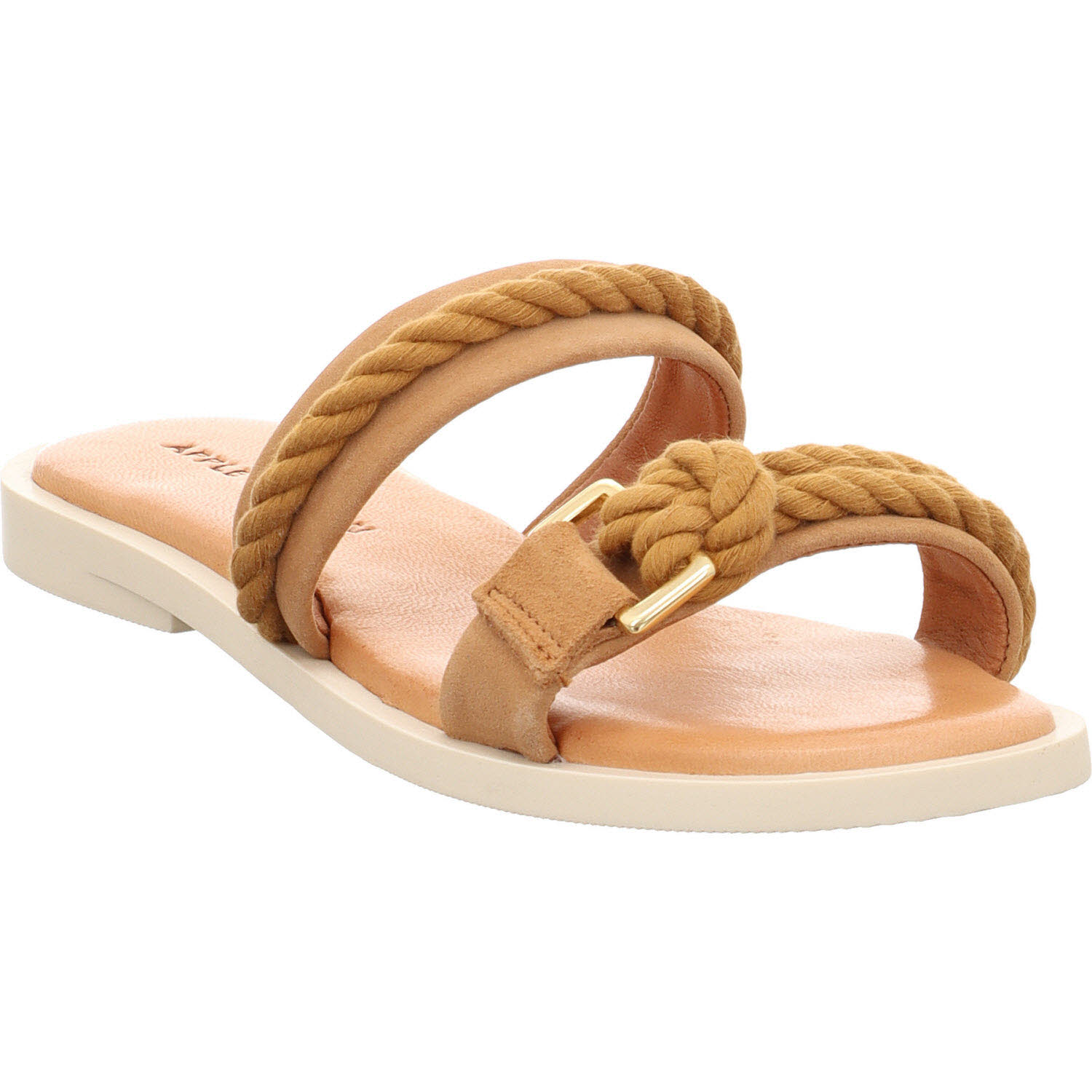 ADA CAMEL
