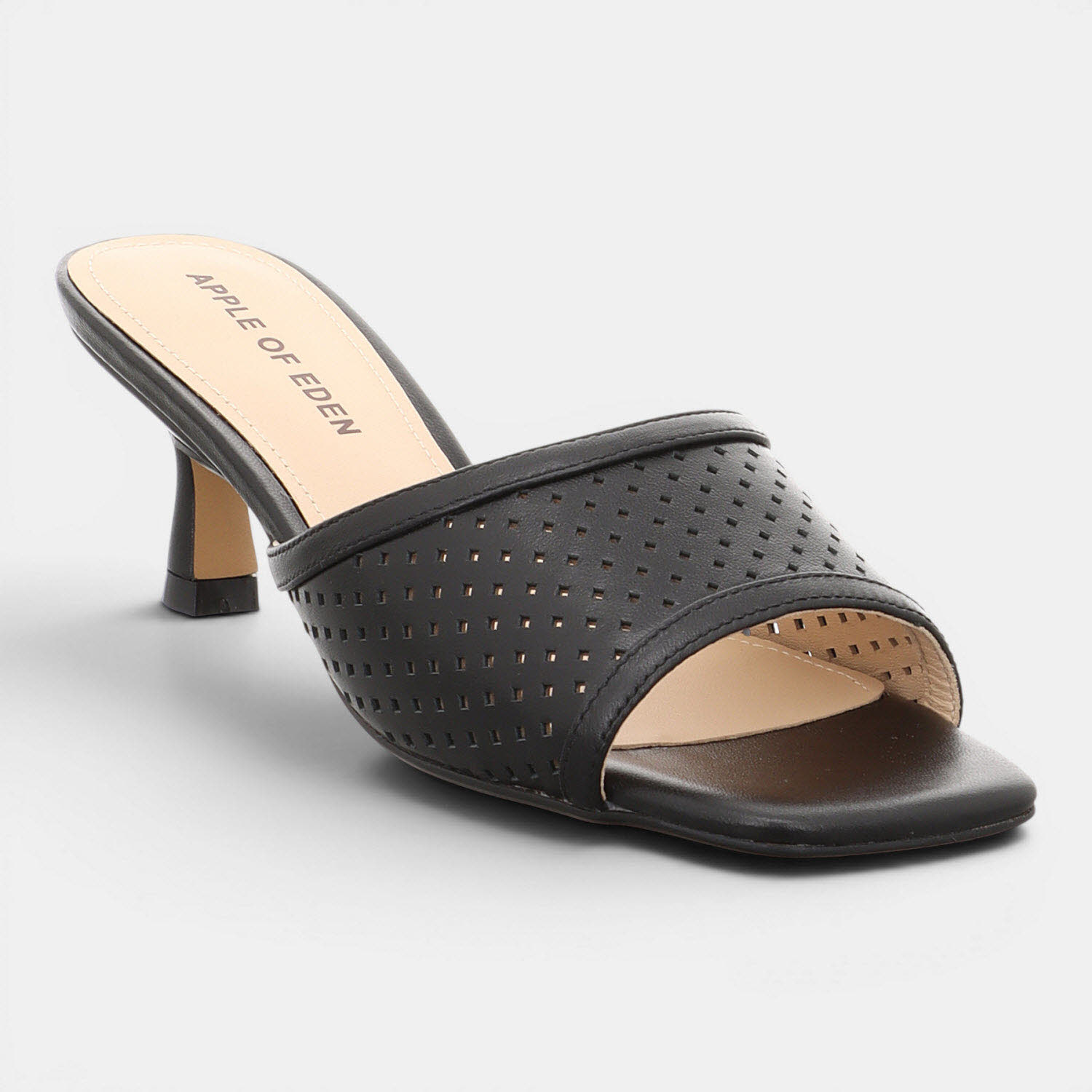 HOLLEY BLACK