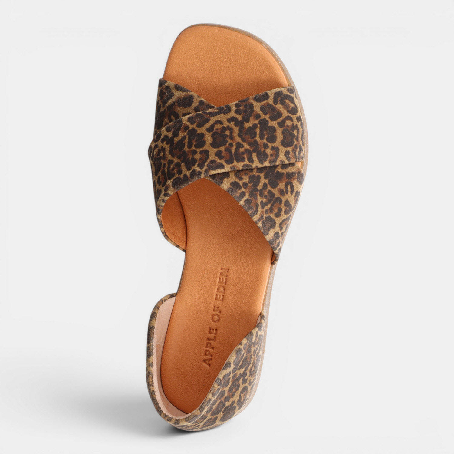 CELINE CIGAR LEO