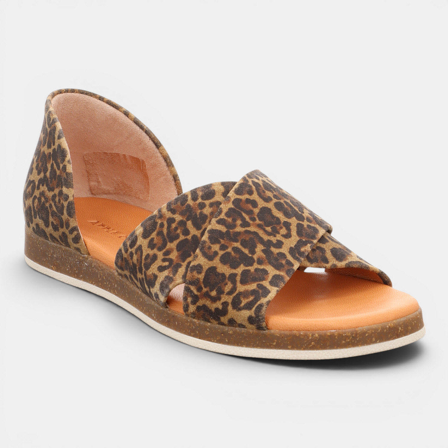 CELINE CIGAR LEO
