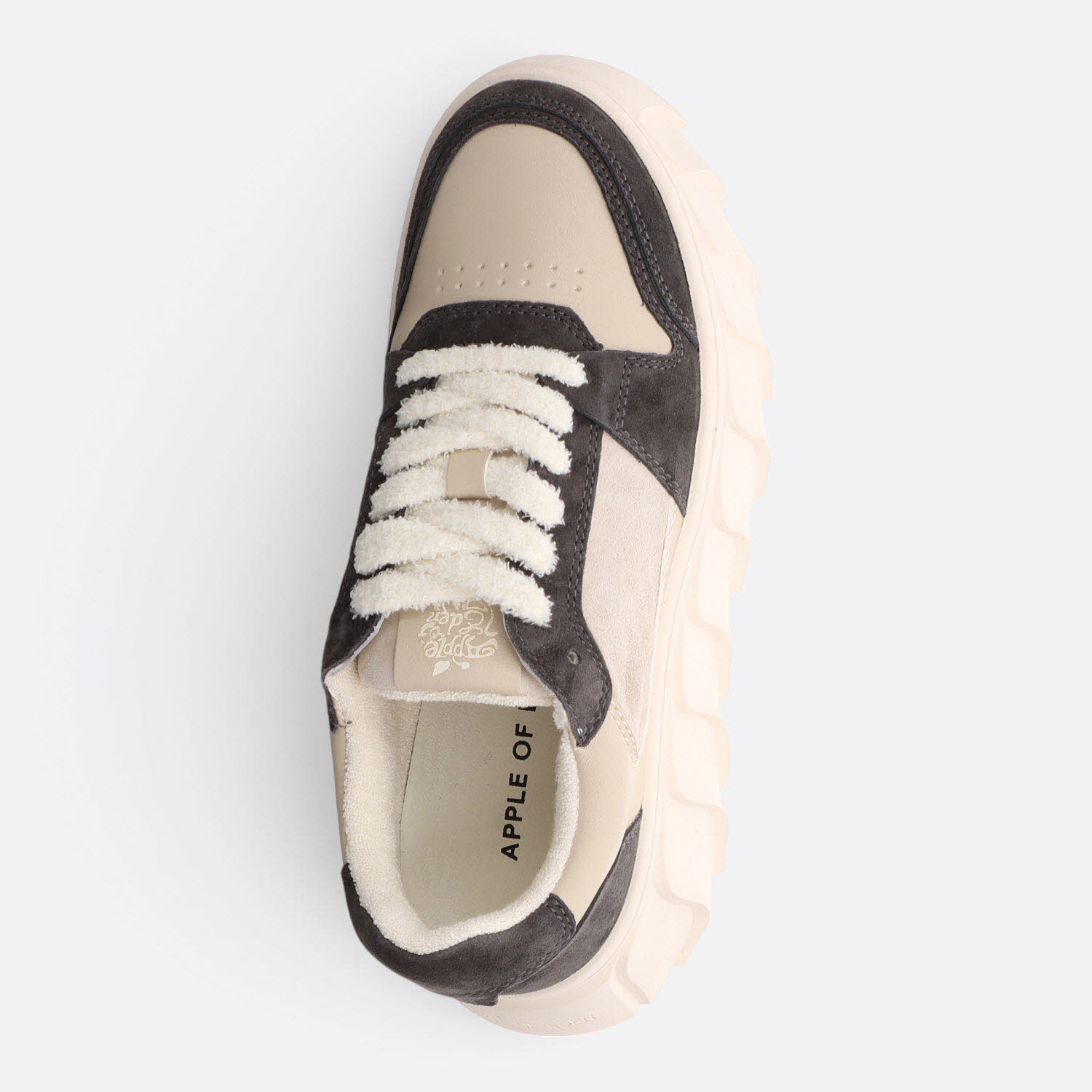 Apple of Eden LONDON Sneaker in Dunkelgrau/Ivory – Bild 6 von 6