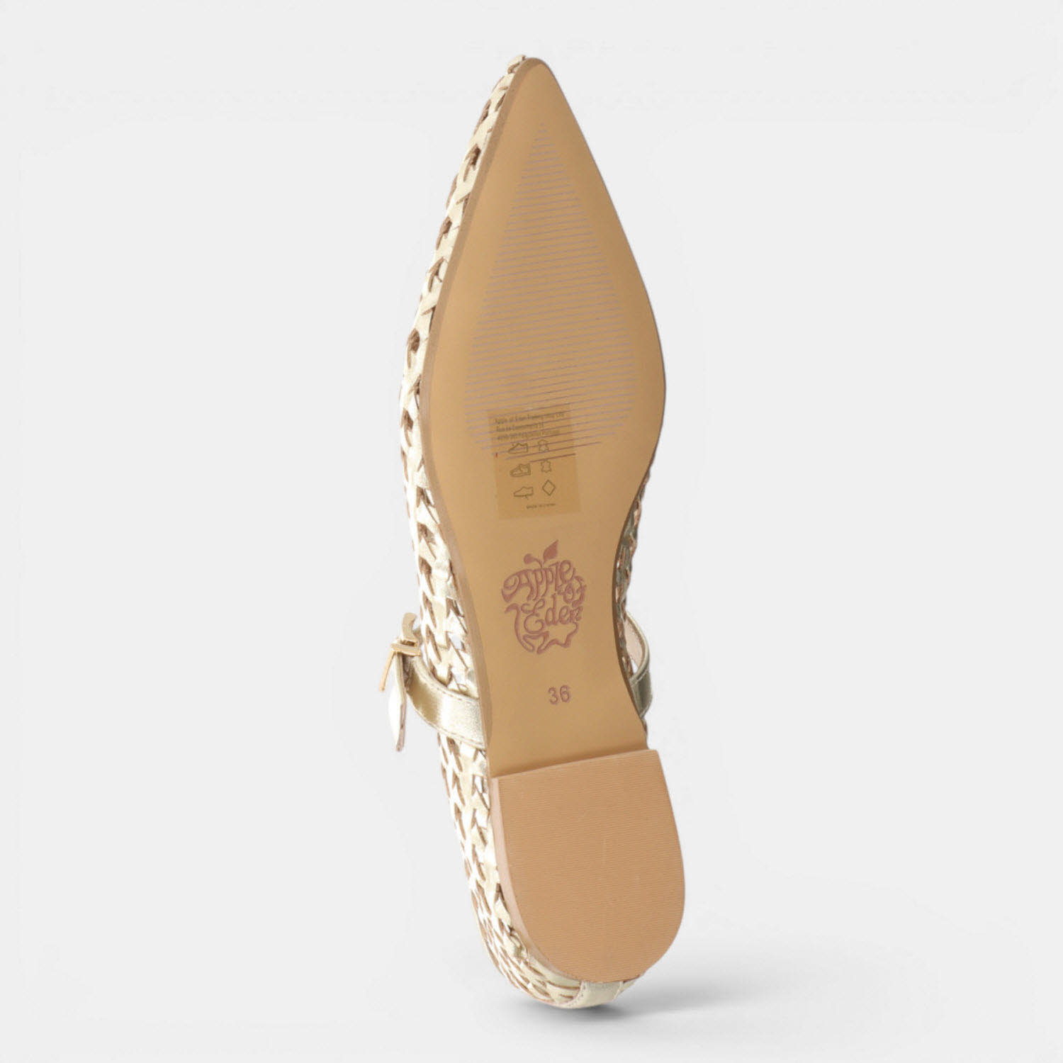 DEBRA CHAMPAGNE