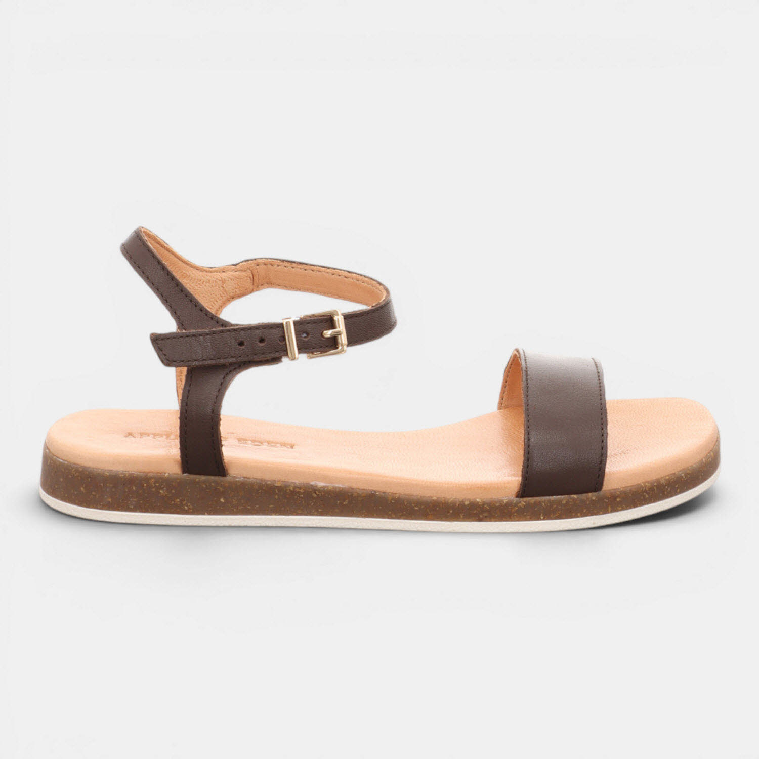 ISA TDM