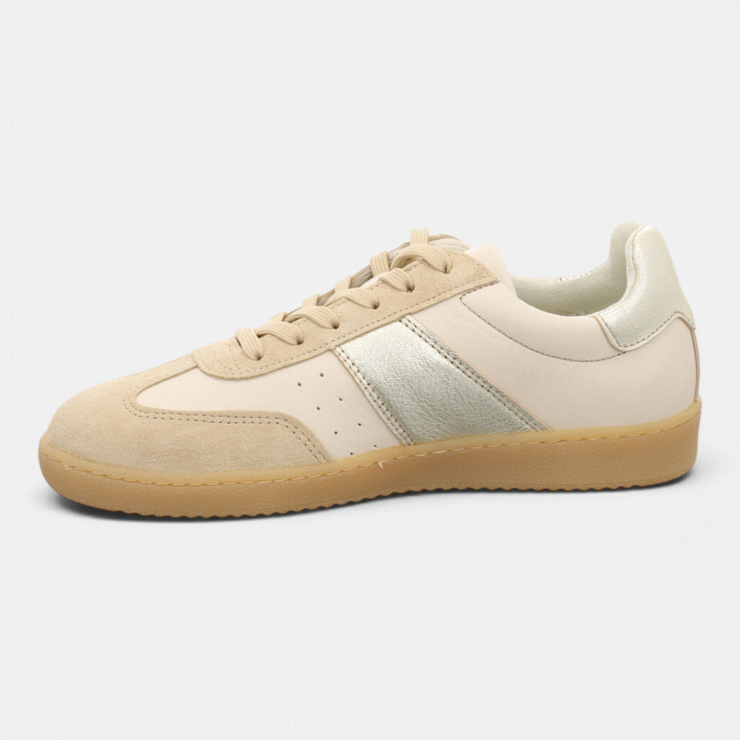 ASTER CHAMPAGNE