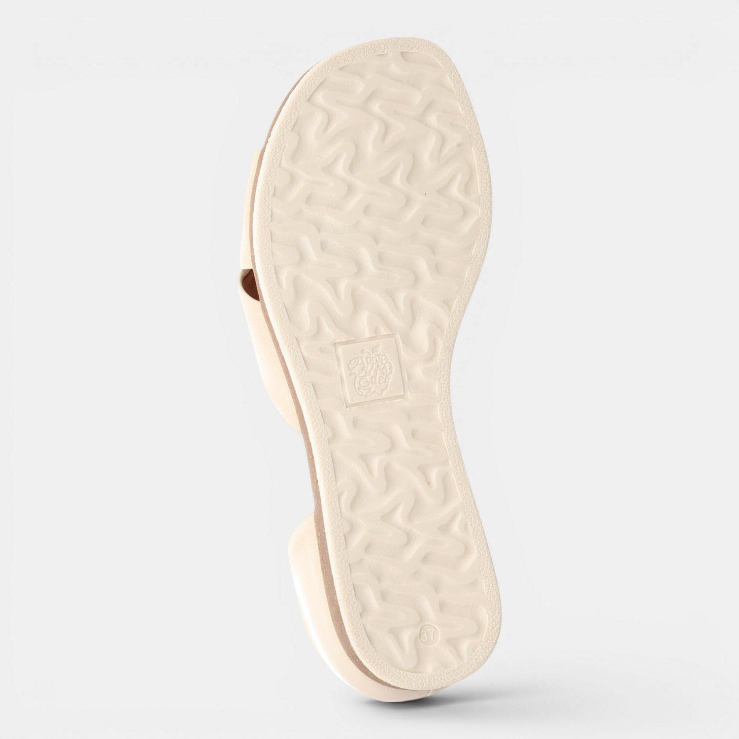 CELINE CREMA
