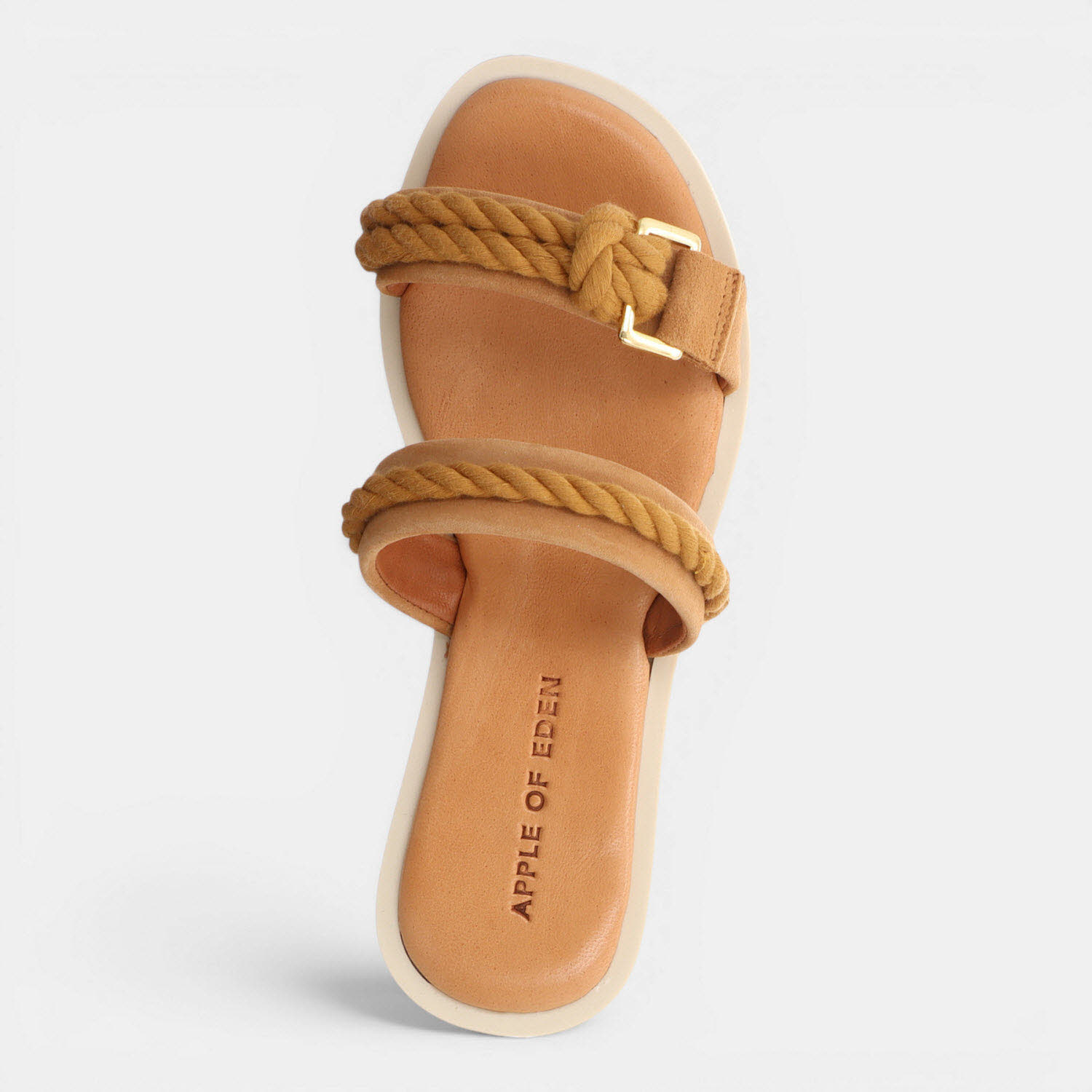 ADA CAMEL