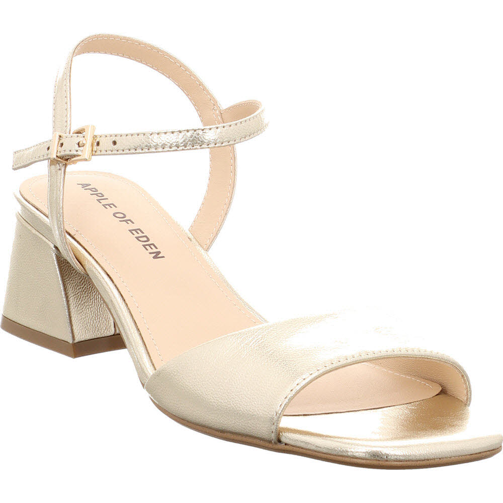 FLORE CHAMPAGNE